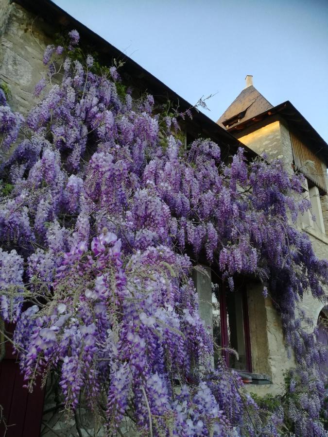 Chateau St.Gaultier Saint-Gaultier Zewnętrze zdjęcie