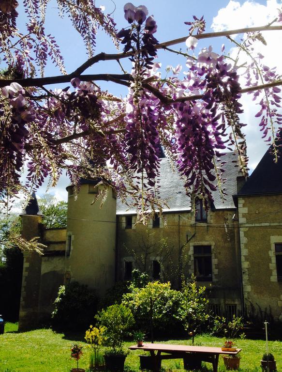 Chateau St.Gaultier Saint-Gaultier Zewnętrze zdjęcie